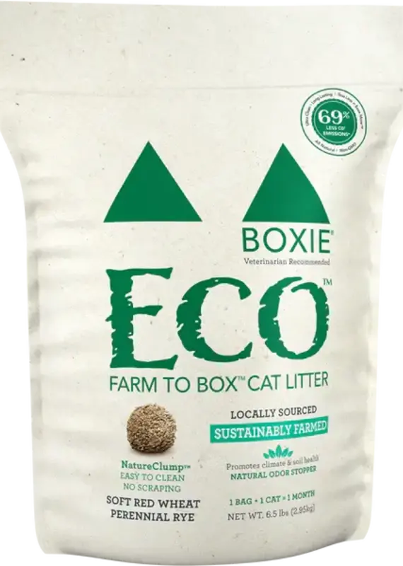 Boxie Cat Boxie Cat Eco