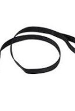 Coastal Coastal Nylon Leash