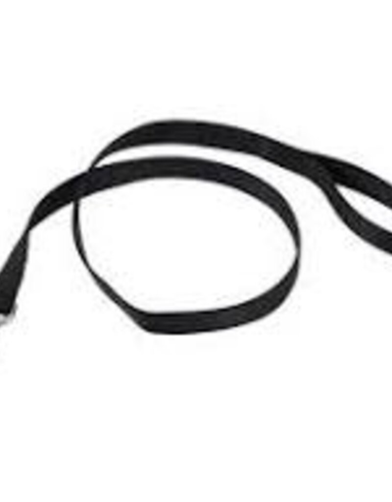Coastal Coastal Nylon Leash