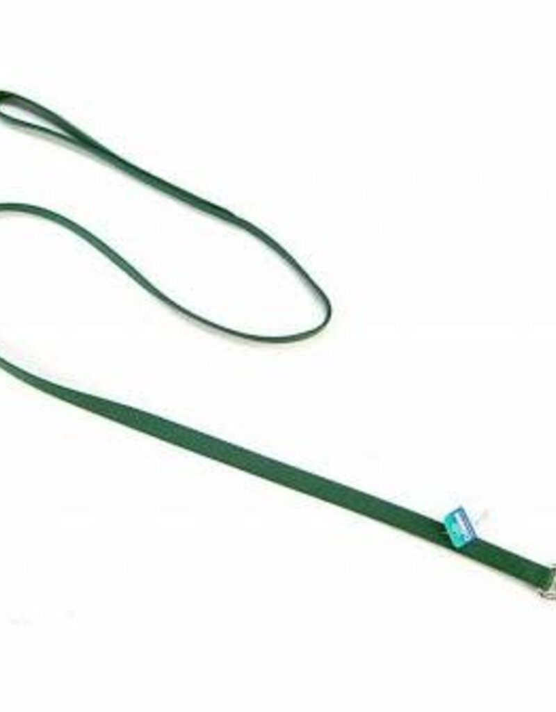 Coastal Coastal Nylon Leash
