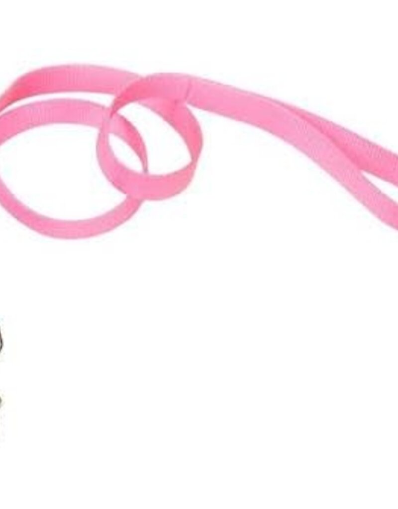 Coastal Coastal Nylon Leash