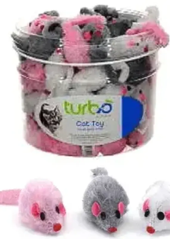 Coastal Coastal Bulk Furry Mice