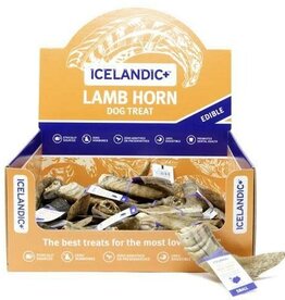 Icelandic Icelandic Lamb Horn
