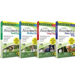 Vetality Avantect II Topical 4ct