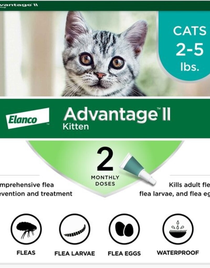 Bayer Bayer Advantage 2