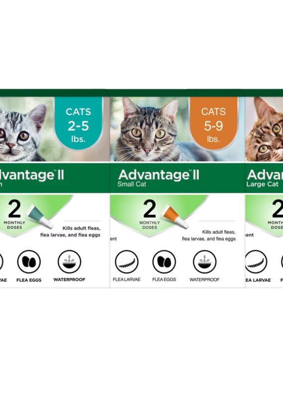 Bayer Bayer Advantage 2