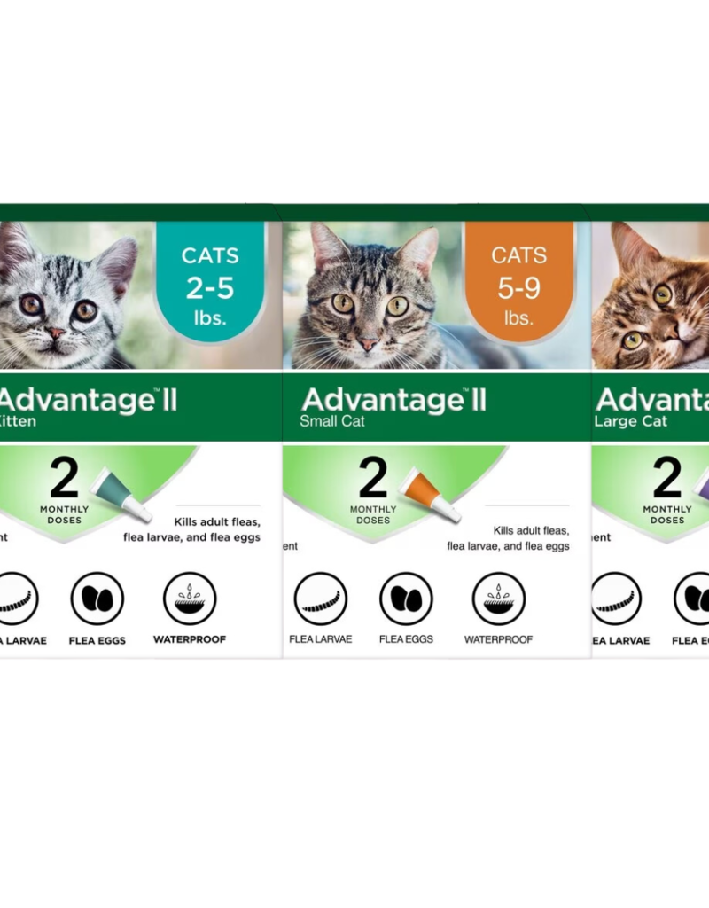 Bayer Bayer Advantage 2