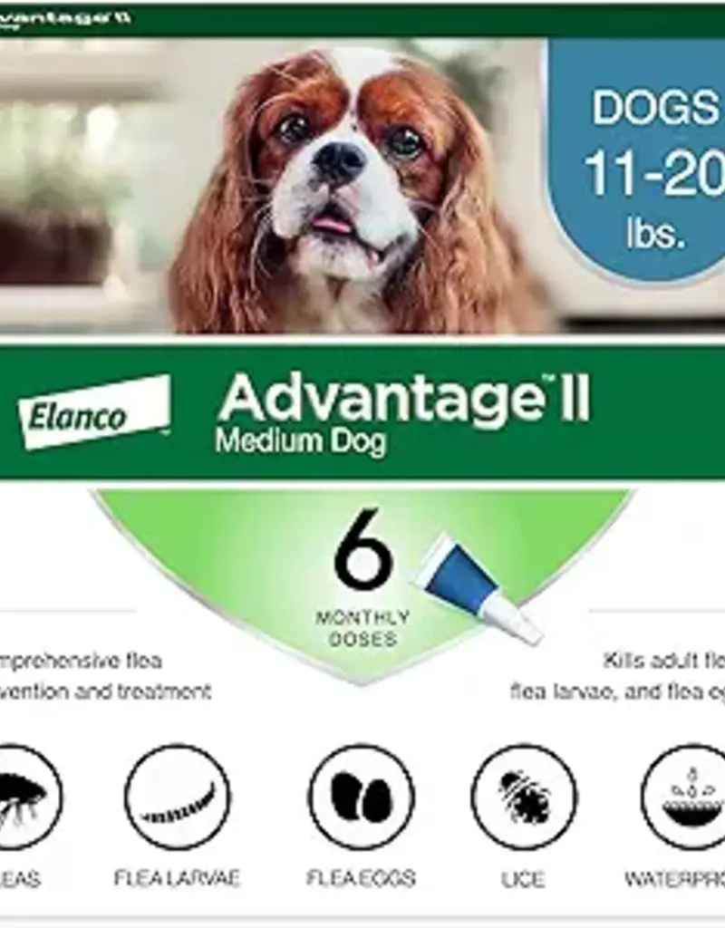 Bayer Bayer Advantage 2 Dog 4pk