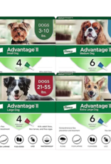 Bayer Bayer Advantage 2 Dog 4pk
