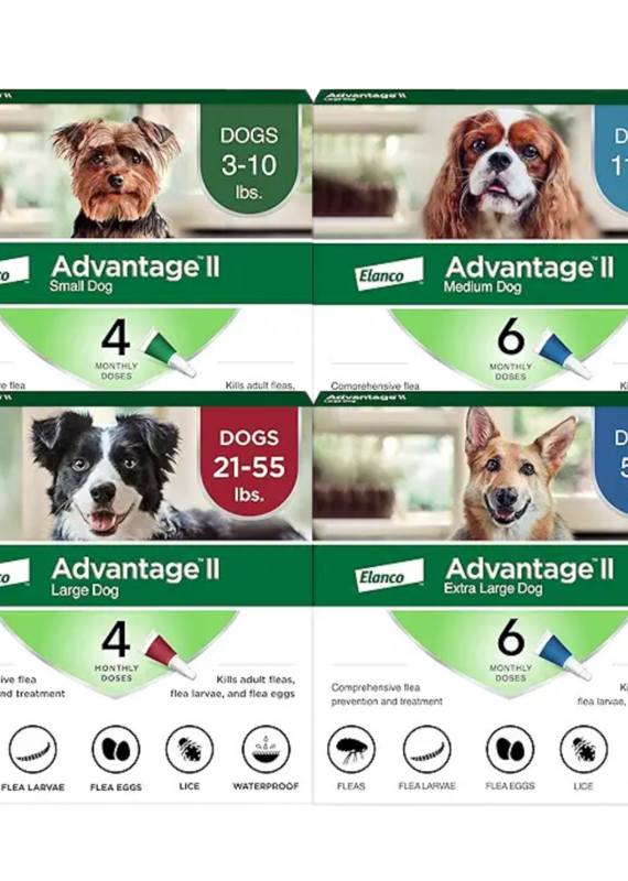 Bayer Bayer Advantage 2 Dog 4pk
