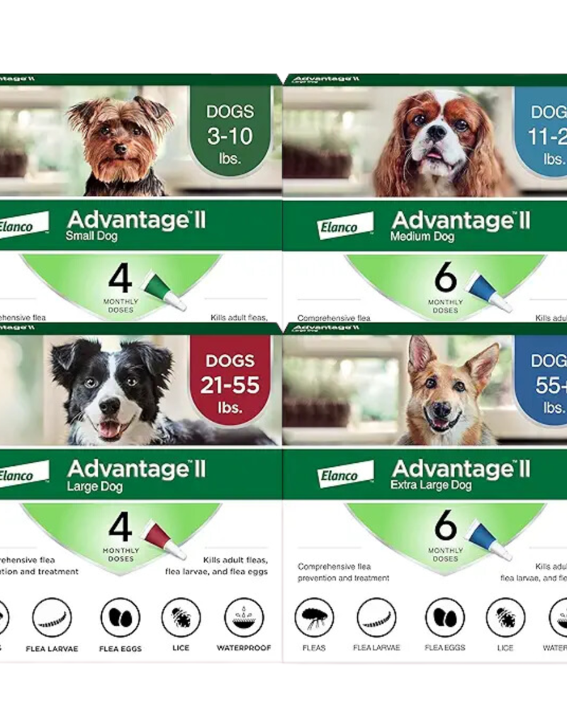 Bayer Bayer Advantage 2 Dog 4pk