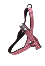 Alcott Norwegian Harness