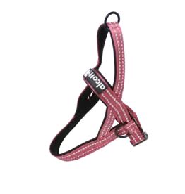 Alcott Norwegian Harness