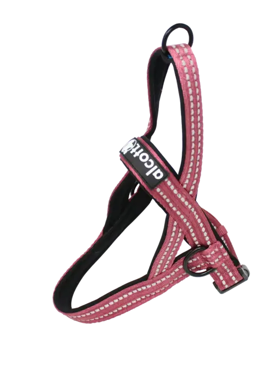Alcott Norwegian Harness