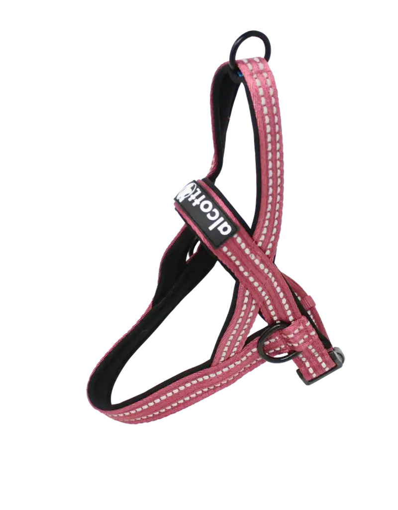 Alcott Norwegian Harness