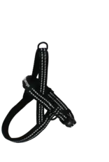 Alcott Norwegian Harness