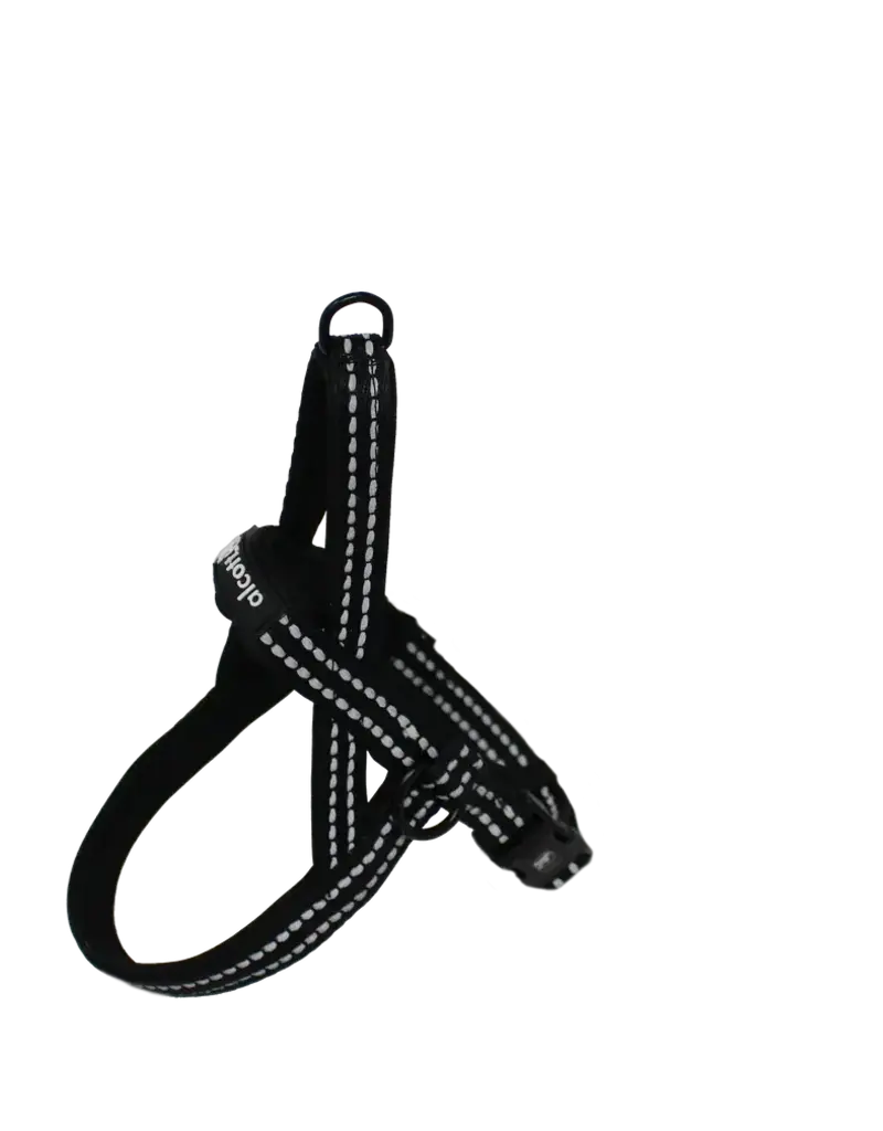 Alcott Norwegian Harness