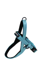 Alcott Norwegian Harness