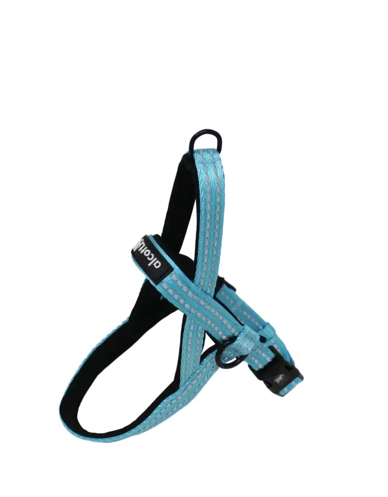 Alcott Norwegian Harness