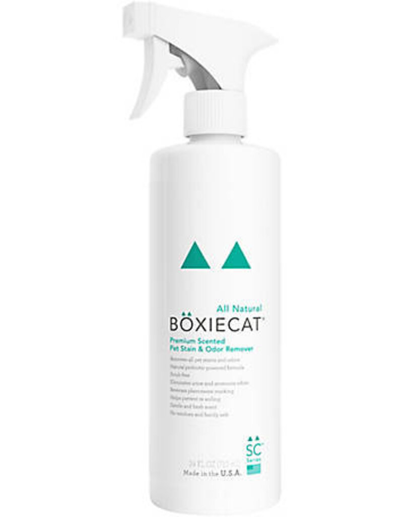 Boxie Cat Boxie Cat Stain & Odor