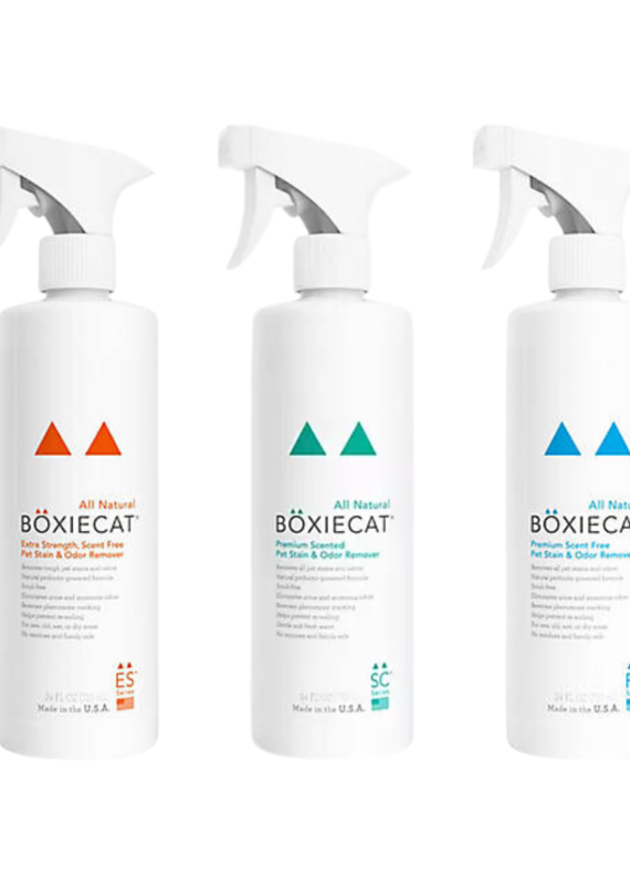 Boxie Cat Boxie Cat Stain & Odor