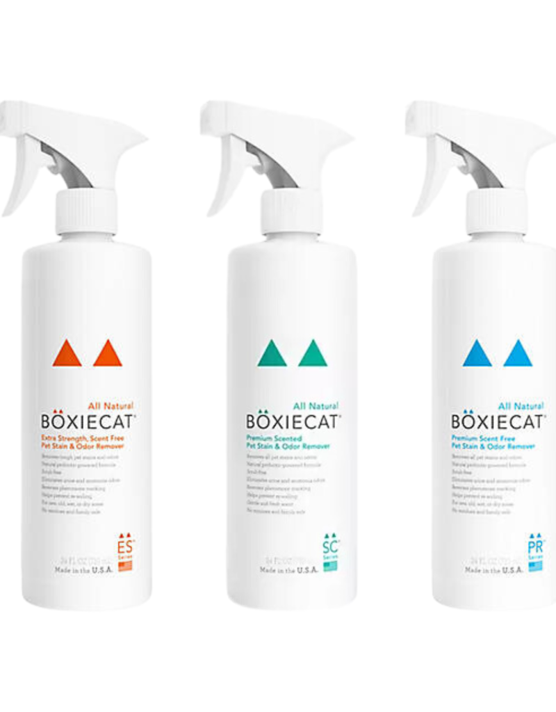 Boxie Cat Boxie Cat Stain & Odor