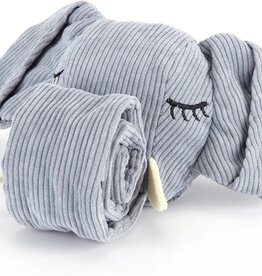 Injoya Injoya Trunk or Treat Snuffle Toy