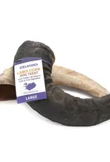 Icelandic Icelandic Lamb Horn