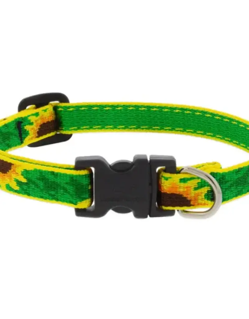 Lupine Pet Lupine 1/2" Adj. Collar