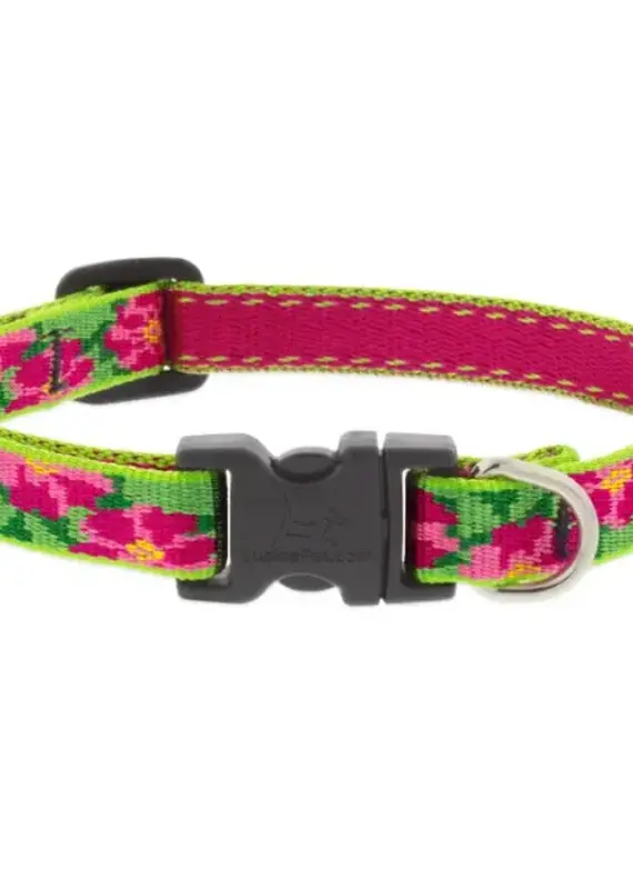 Lupine Pet Lupine Adj. 3/4" Collar