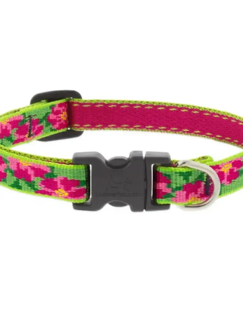 Lupine Pet Lupine Adj. 3/4" Collar