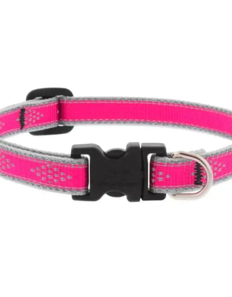 Lupine Pet Lupine HL 3/4" Adj Collar