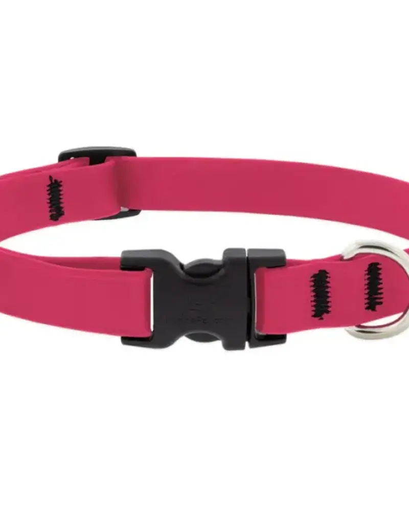 Lupine Pet Lupine 3/4" Adj. Collar