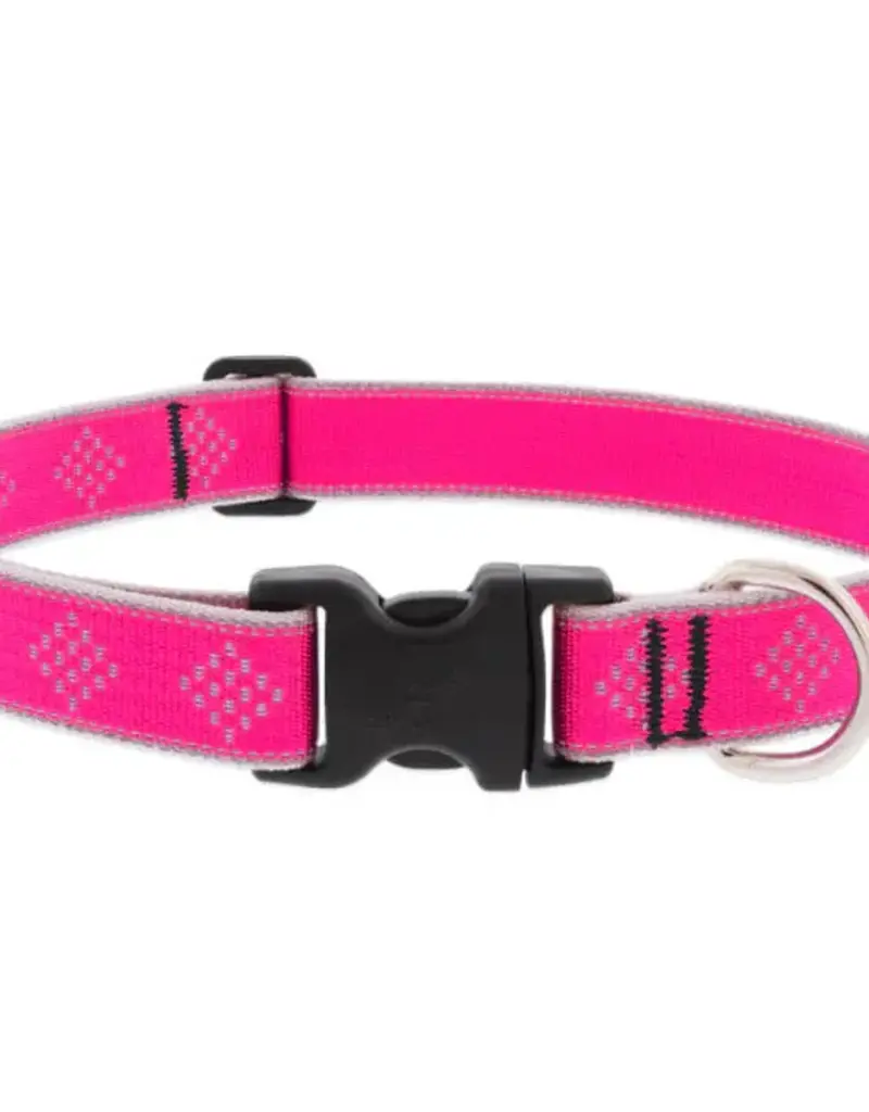 Lupine Pet Lupine HL 1" Adj. Collar