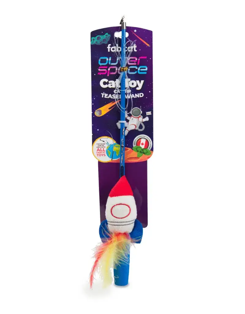FabDog Fab Cat Spaceship Teaser
