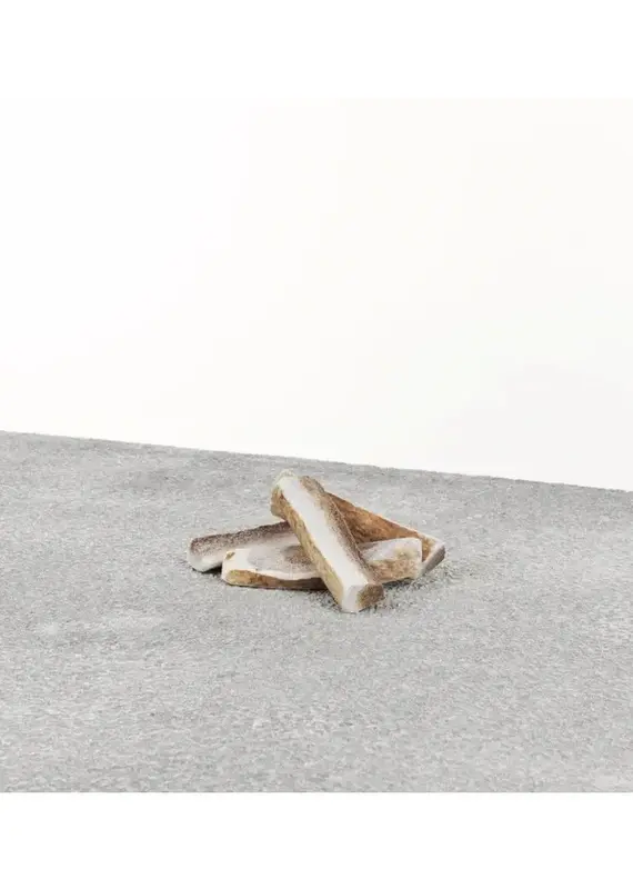 Primal Primal Elk Antler