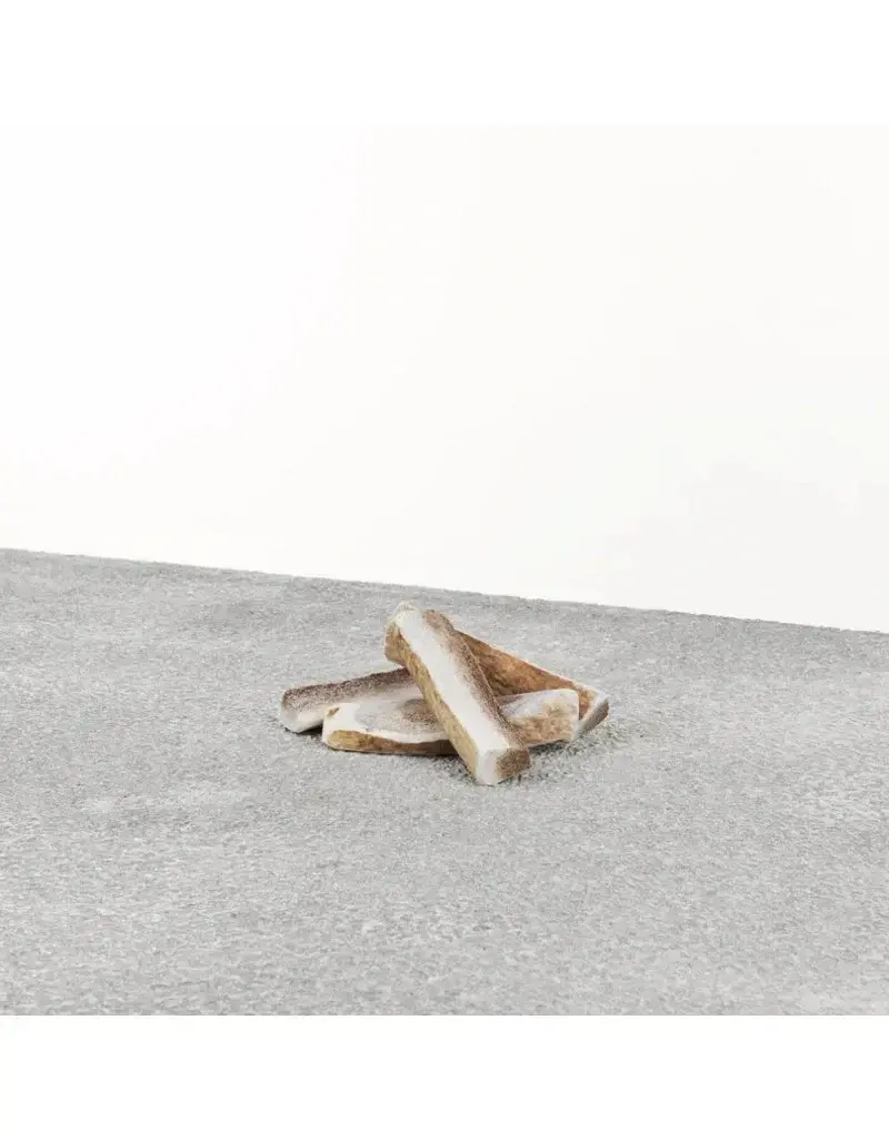 Primal Primal Elk Antler