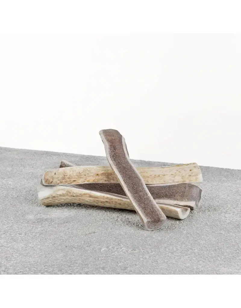 Primal Primal Elk Antler