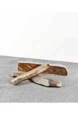 Primal Primal Moose Antler