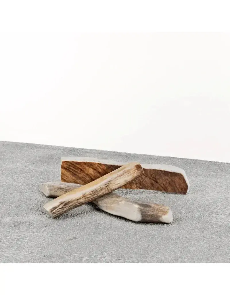 Primal Primal Moose Antler
