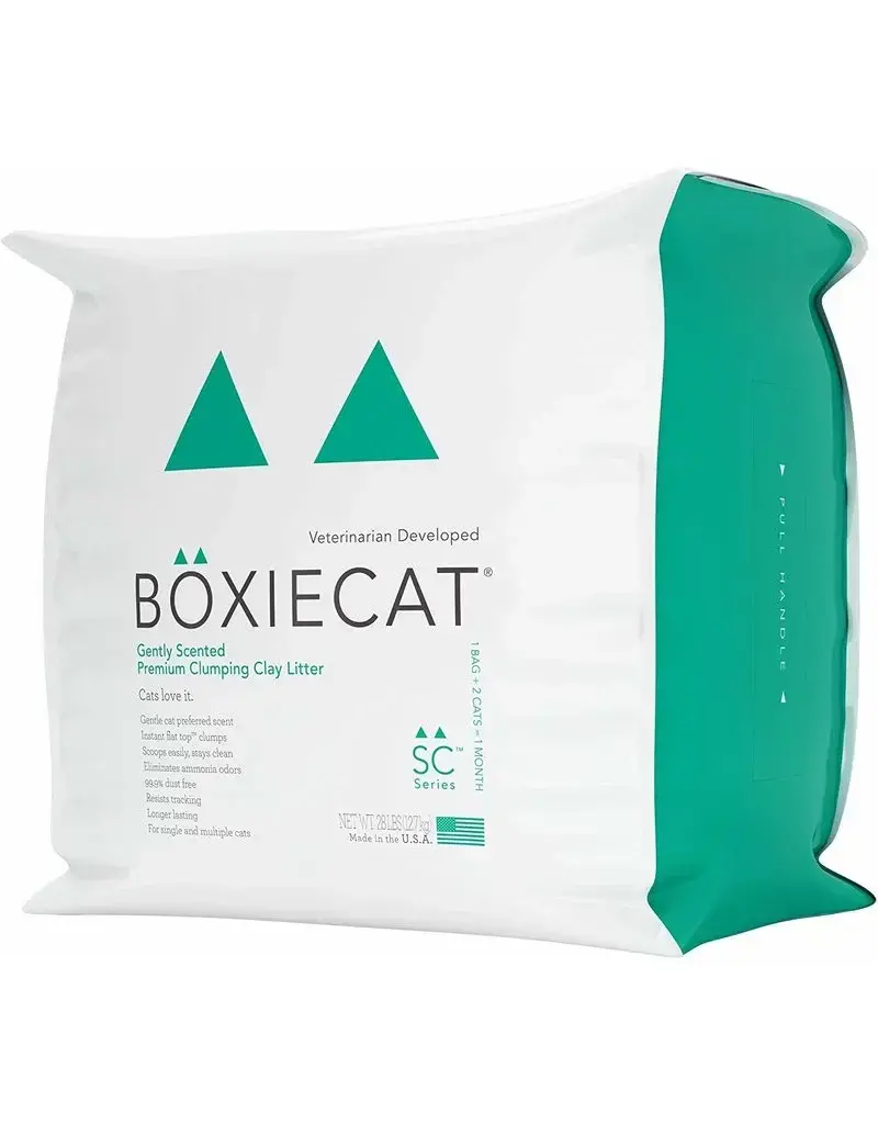 Boxie Cat Boxie Cat Premium