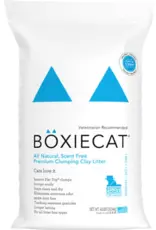 Boxie Cat Boxie Cat Premium