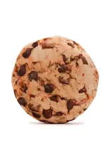 FabDog Fabdog Pups Ahoy Cookie