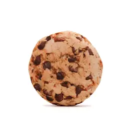 FabDog Fabdog Pups Ahoy Cookie