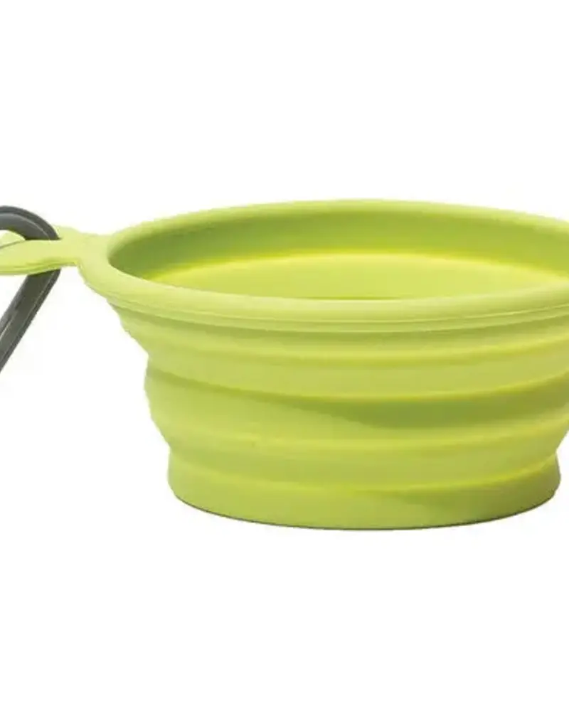 Messy Mutts Messy Mutts Collapsible Travel Bowl