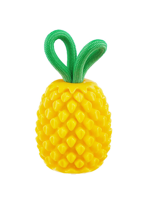 Outward Hound Outward Hound Medium Dental Pineapple