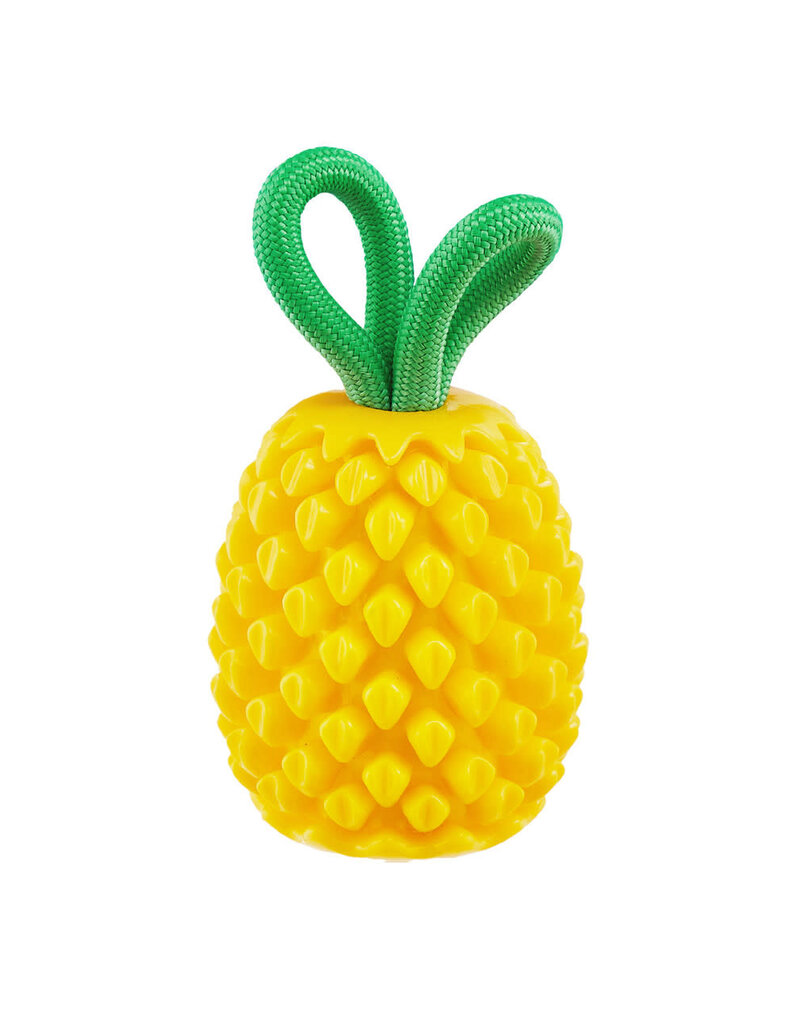 Outward Hound Outward Hound Medium Dental Pineapple
