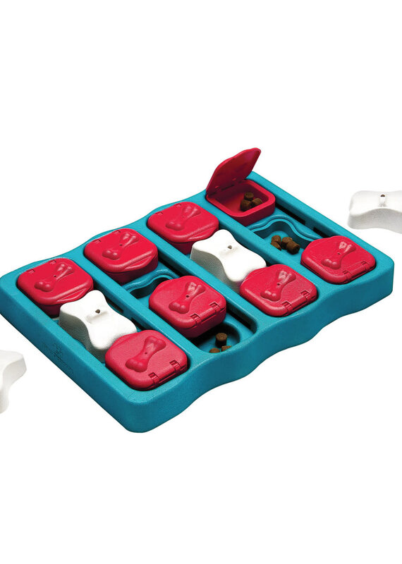 Outward Hound OWH Dog Brick - Blue