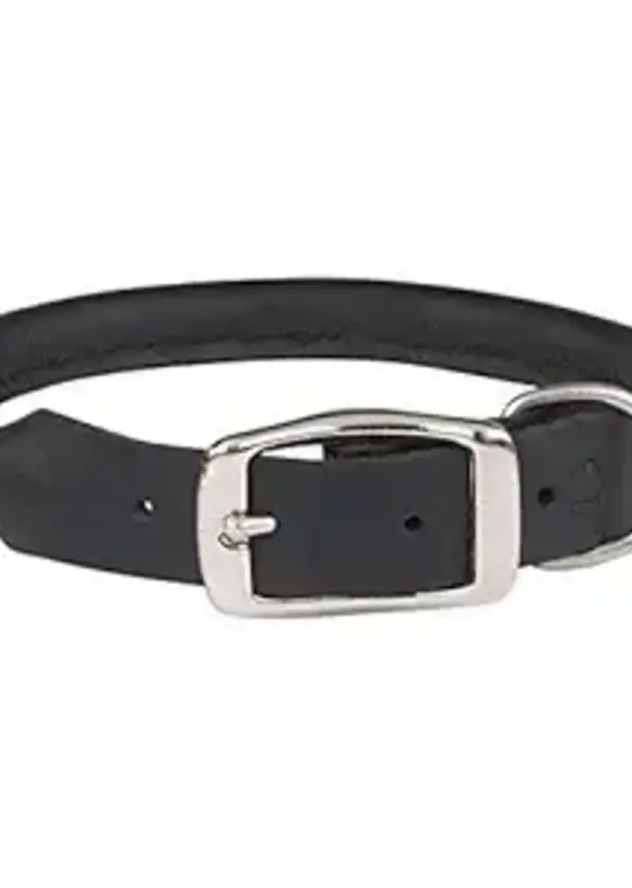 Casual Canine Rolled leather 18-20"