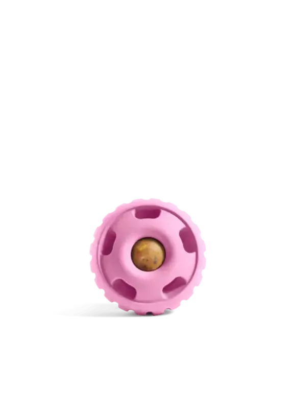 Woof Pet Woof Pet Birthday